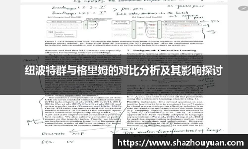 纽波特群与格里姆的对比分析及其影响探讨